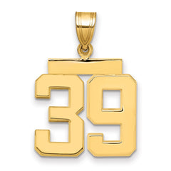 14k Medium Polished Number 39 Charm - 2