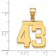 14k Medium Polished Number 43 Charm - 2