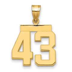14k Medium Polished Number 43 Charm - 2