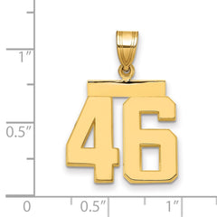 14k Medium Polished Number 46 Charm - 2