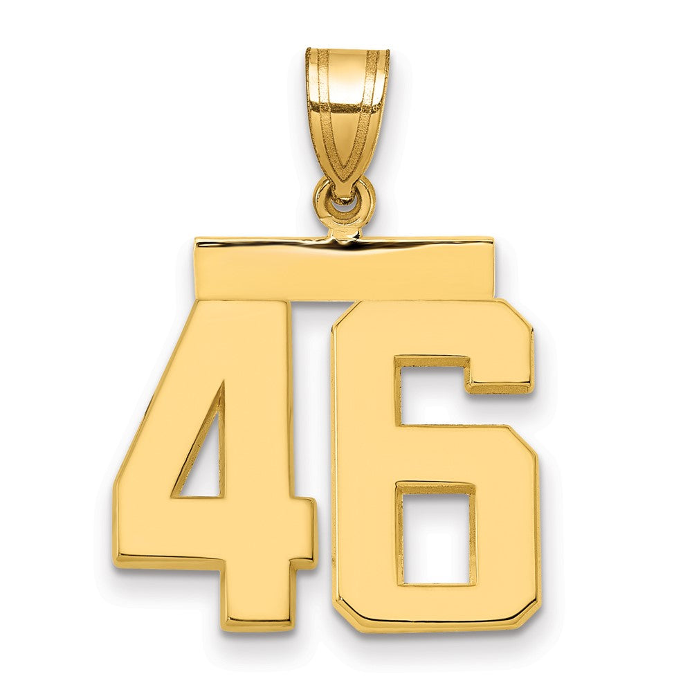 14k Medium Polished Number 46 Charm - 2