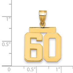 14k Medium Polished Number 60 Charm