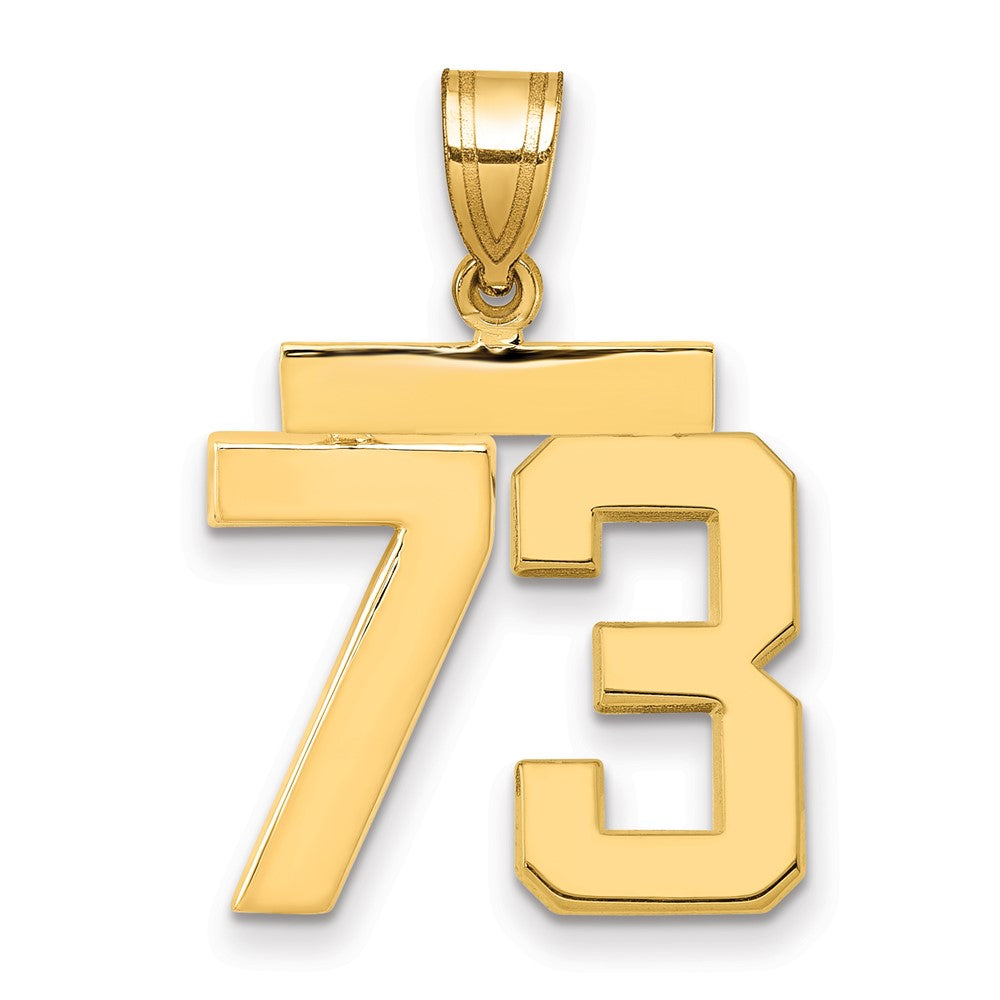 14k Medium Polished Number 73 Charm - 2