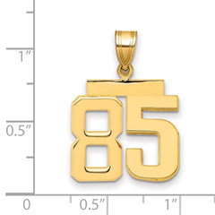 14k Medium Polished Number 85 Charm