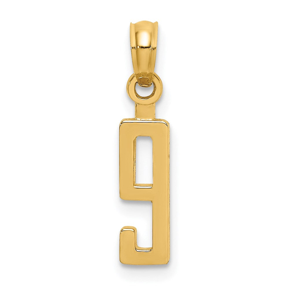 14k Polished Number 9 Pendant - 2