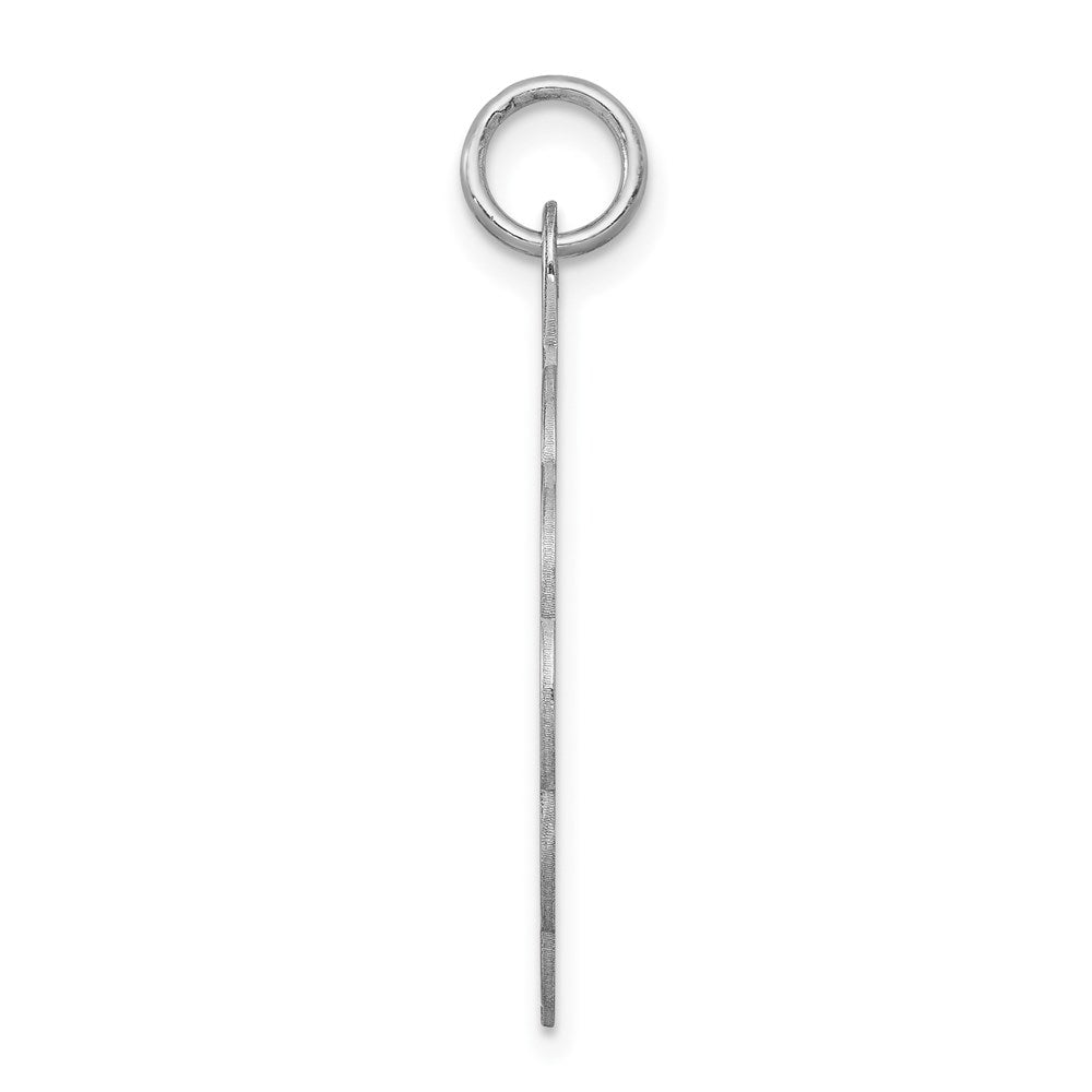 Sterling Silver Rhodium-plated 25th Anniversary Disc Charm - 2