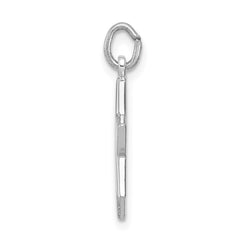 Sterling Silver Platinum-plated Star of David Charm - 2