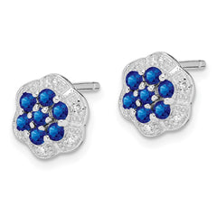 Sterling Silver Rhodium Sapphire & Diamond Post Earrings - 2