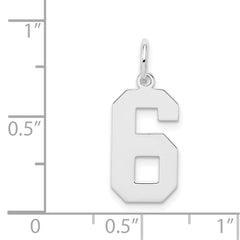 Sterling Silver/Rhodium-plated Polished Number 6 Charm - 4