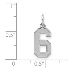 Sterling Silver/Rhodium-plated Satin Number 6 Charm - 3