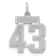 Sterling Silver/Rhodium-plated Satin Number 43 Charm - 4