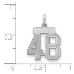 Sterling Silver/Rhodium-plated Satin Number 48 Charm