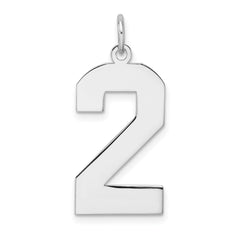 Sterling Silver/Rhodium-plated Polished Number 2 Charm - 2