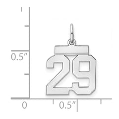 Sterling Silver/Rhodium-plated Polished Number 29 Charm - 3