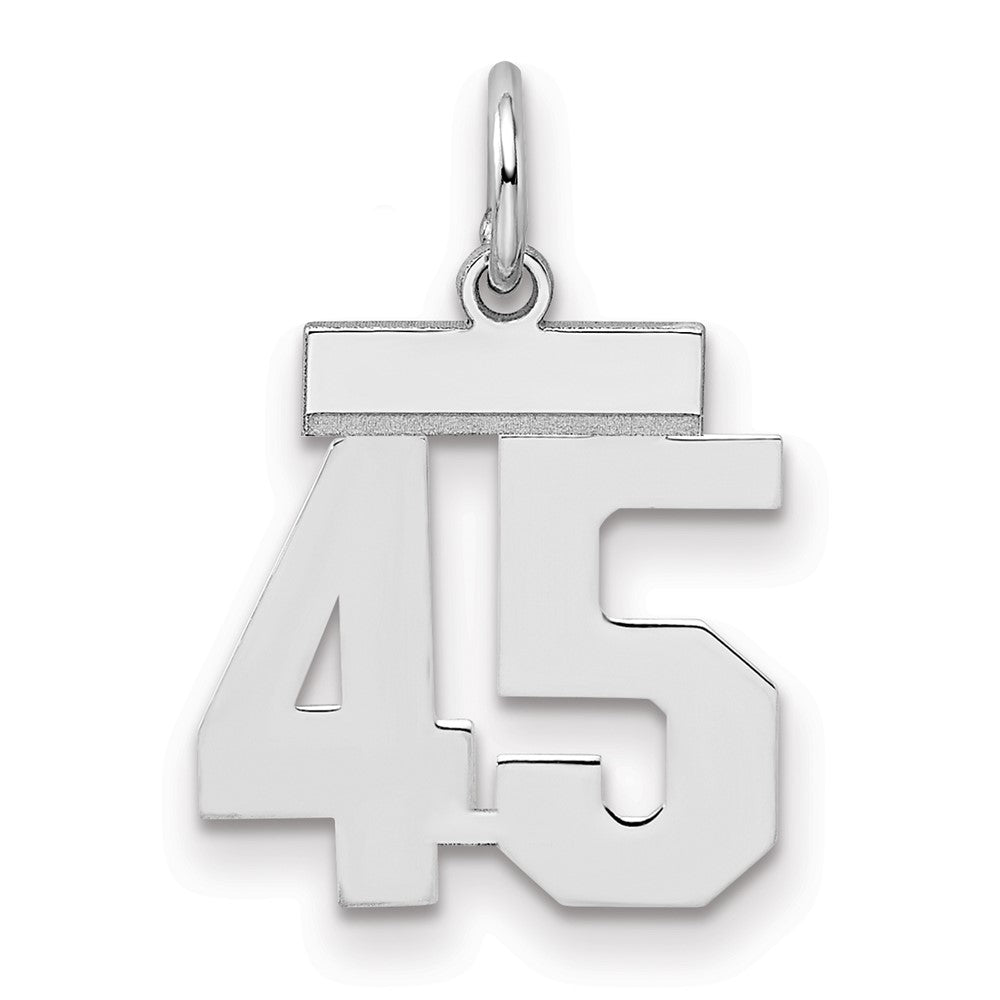 Sterling Silver/Rhodium-plated Polished Number 45 Charm - 2