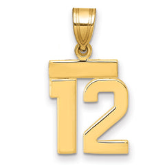 14k Small Polished Number 12 Charm