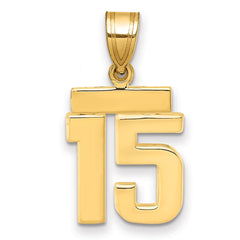 14k Small Polished Number 15 Charm - 2
