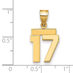 14k Small Polished Number 17 Charm - 2