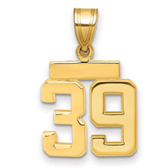 14k Small Polished Number 39 Charm - 2