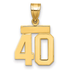 14k Small Polished Number 40 Charm - 2