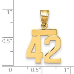 14k Small Polished Number 42 Charm - 2