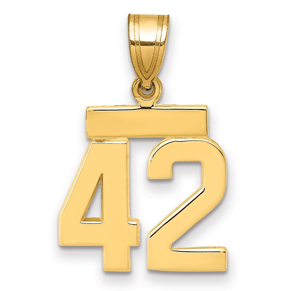 14k Small Polished Number 42 Charm - 2