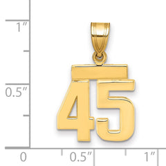 14k Small Polished Number 45 Charm - 2