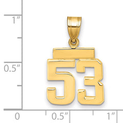 14k Small Polished Number 53 Charm