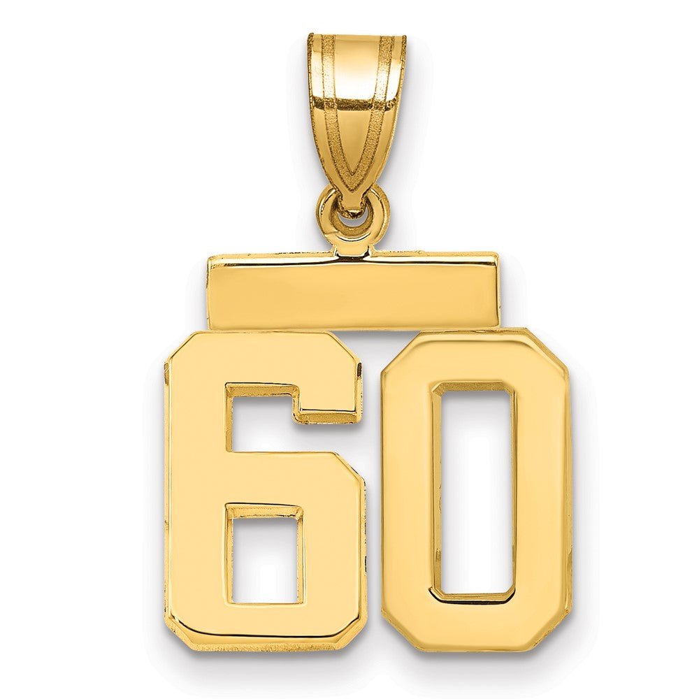 14k Small Polished Number 60 Charm - 2
