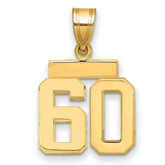 14k Small Polished Number 60 Charm - 2