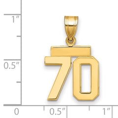 14k Small Polished Number 70 Charm - 2