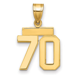 14k Small Polished Number 70 Charm - 2
