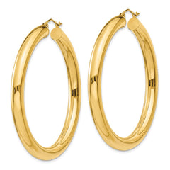 14k Yellow Polished 5mm Lightweight Hoop Earrings - 2