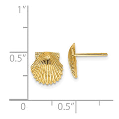 14k Scallop Shell Post Earrings
