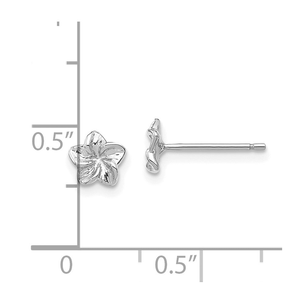 14k White Gold Plumeria Flower Post Earrings