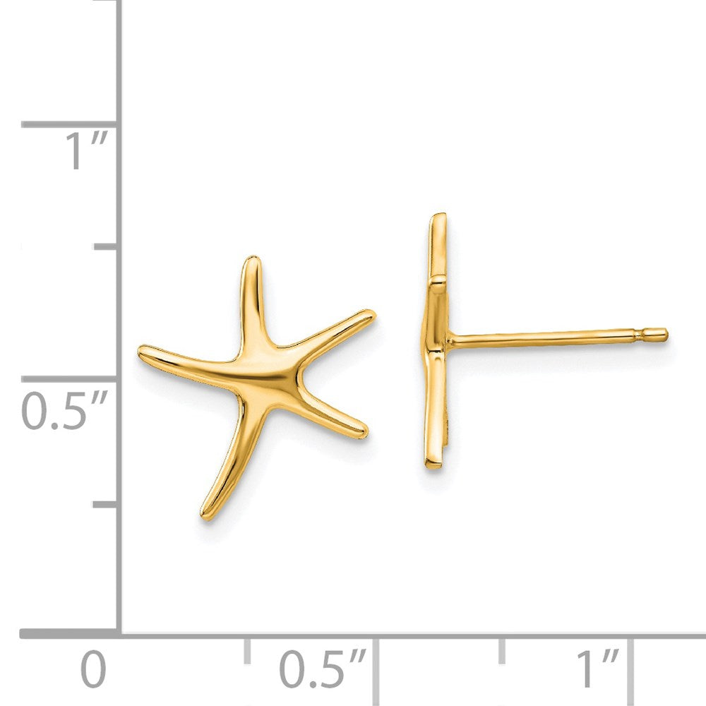 14k Starfish Post Earrings - 4