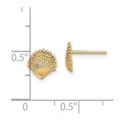 14K Scallop Shell Post Earrings - 3