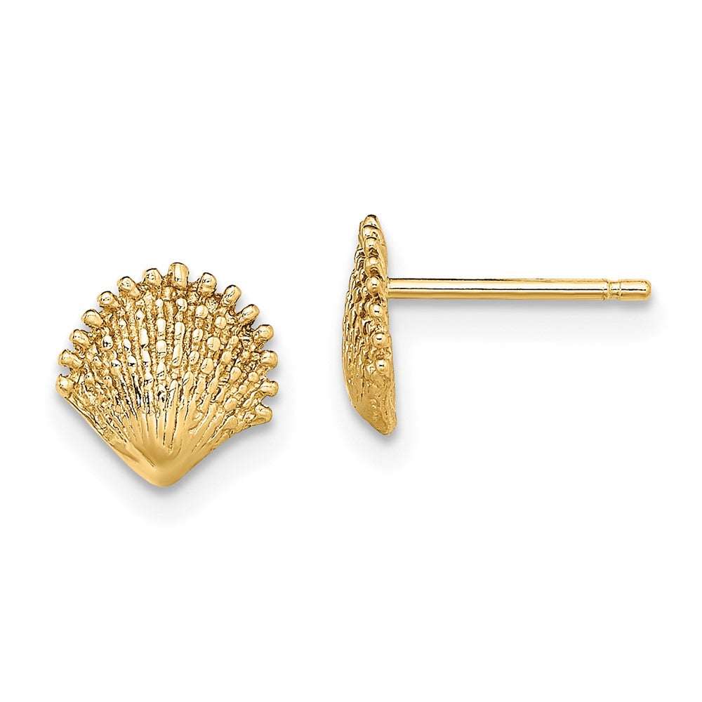 14K Scallop Shell Post Earrings - 3