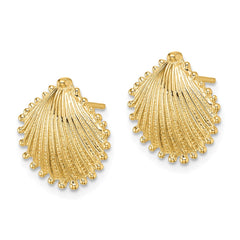 14K Scallop Shell Post Earrings - 4