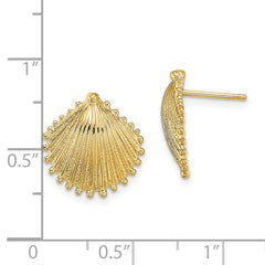 14K Scallop Shell Post Earrings - 4