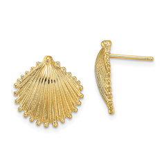 14K Scallop Shell Post Earrings - 4
