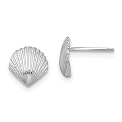 14K White Gold Scallop Shell Post Earrings - 2