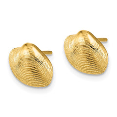14K Clam Shell Post Earrings - 2