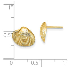 14K Clam Shell Post Earrings - 2