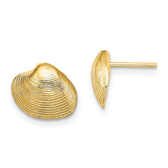14K Clam Shell Post Earrings - 2