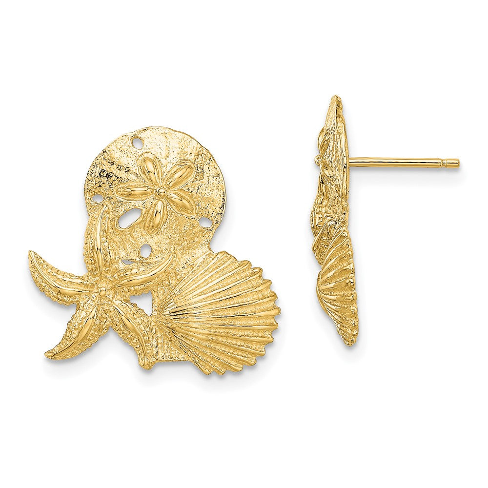 14K Sand Dollar, Starfish, ,Scallop Cluster Post Earrings