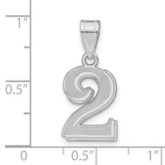 14kw Polished Etched Number 2 Pendant