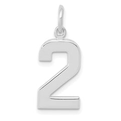14kw  Medium Polished Number 2 Charm