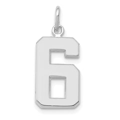 14kw Medium Polished Number 6 Charm