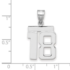 14kw Medium Polished Number 18 Charm